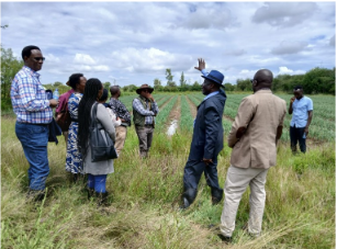 Results of water harvesting