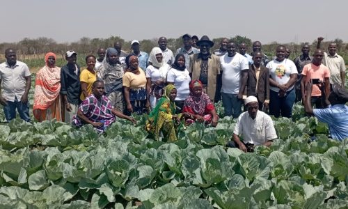 Yatta Resource Center Attracts Churches, Yatta Resource Center Attracts Churches,